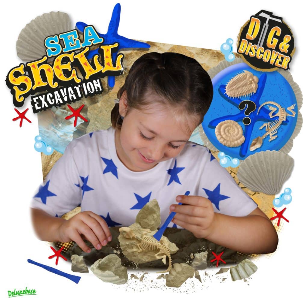Dig & Discover – Seashell Excavation – Deluxebase Store