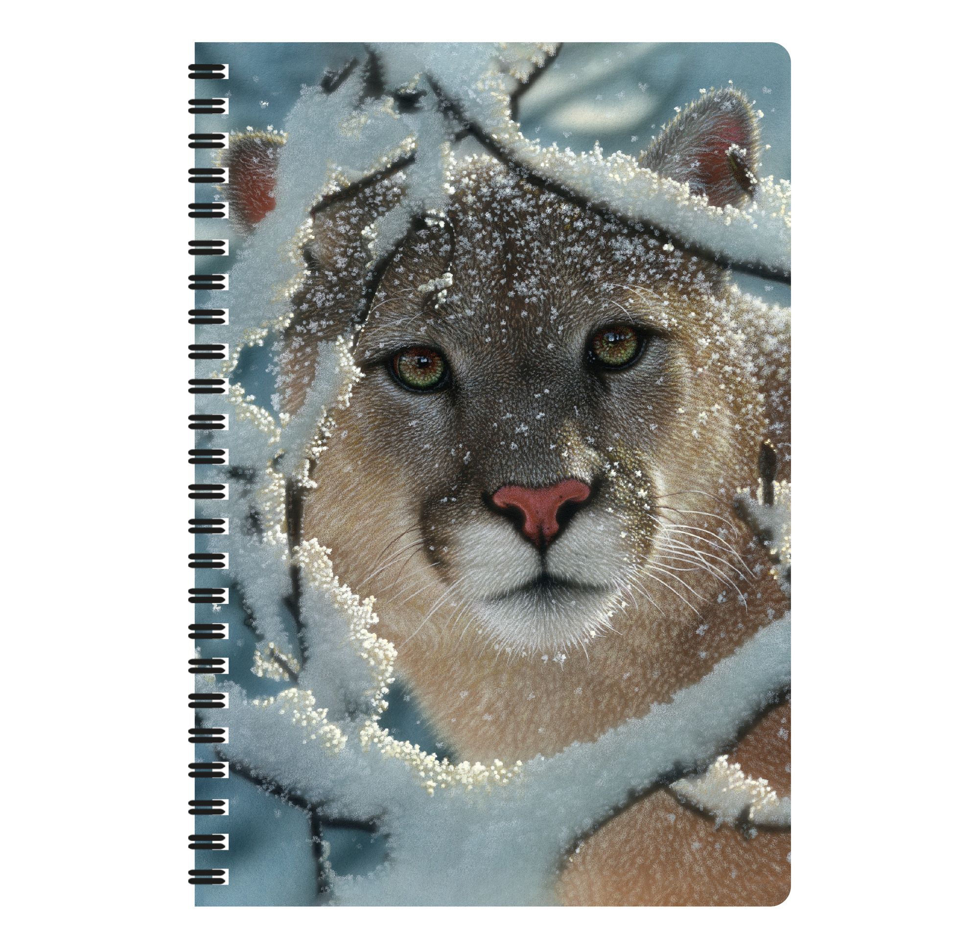 3d Livelife Notebooks Silent Encounter Deluxebase Store
